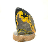 Bumblebee Jasper Polished Specimen